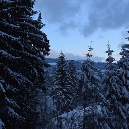 Willa Franciszek Zakopane Kültér fotó
